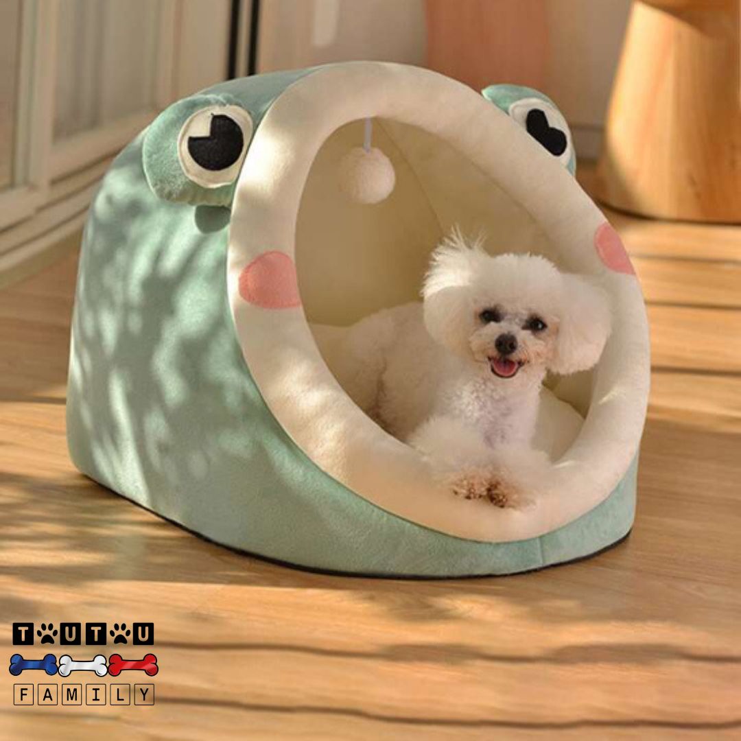 Panier-pour-chihuahua-grotte-niche-intérieur-pour-petit-chien en forme amusante de grenouille 100% coton antidérapant, chaud et douillet, un caniche nain couché et heureux niché dans son panier vert et son coussin intérieur rembourré et épais, déhoussableet lavable en machine