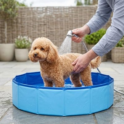 Pataugeoire-pour-chien-chiot-petit-50-cm-PVC robuste, parois rigides, fond antidérapant, pliable, compact et transportable, idéal pour les petit espace et les appartements pour rafraichir ou faire le bain des petits chiens-un chiot de race moyenne qui prend son bain dans sa petite piscine avec sa maitresse qui le toilette sur le balcon de l'appartement en été
