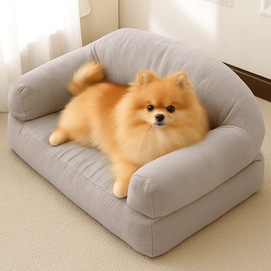 Petit-canapé-pour-chien-déhoussable et lavable en machine-100% coton haute densité ergonomique-housse résistante aux griffes-antidérapant-avec dossier et 2 accoudoirs-écoresponsable-matériau 100% naturel, hypoallergénique et respirant-pour petit chien et chiot jusqu'à 7 kg-un petit chien à poils long couché paisiblement dans son canapé gris dans le salon de la maison