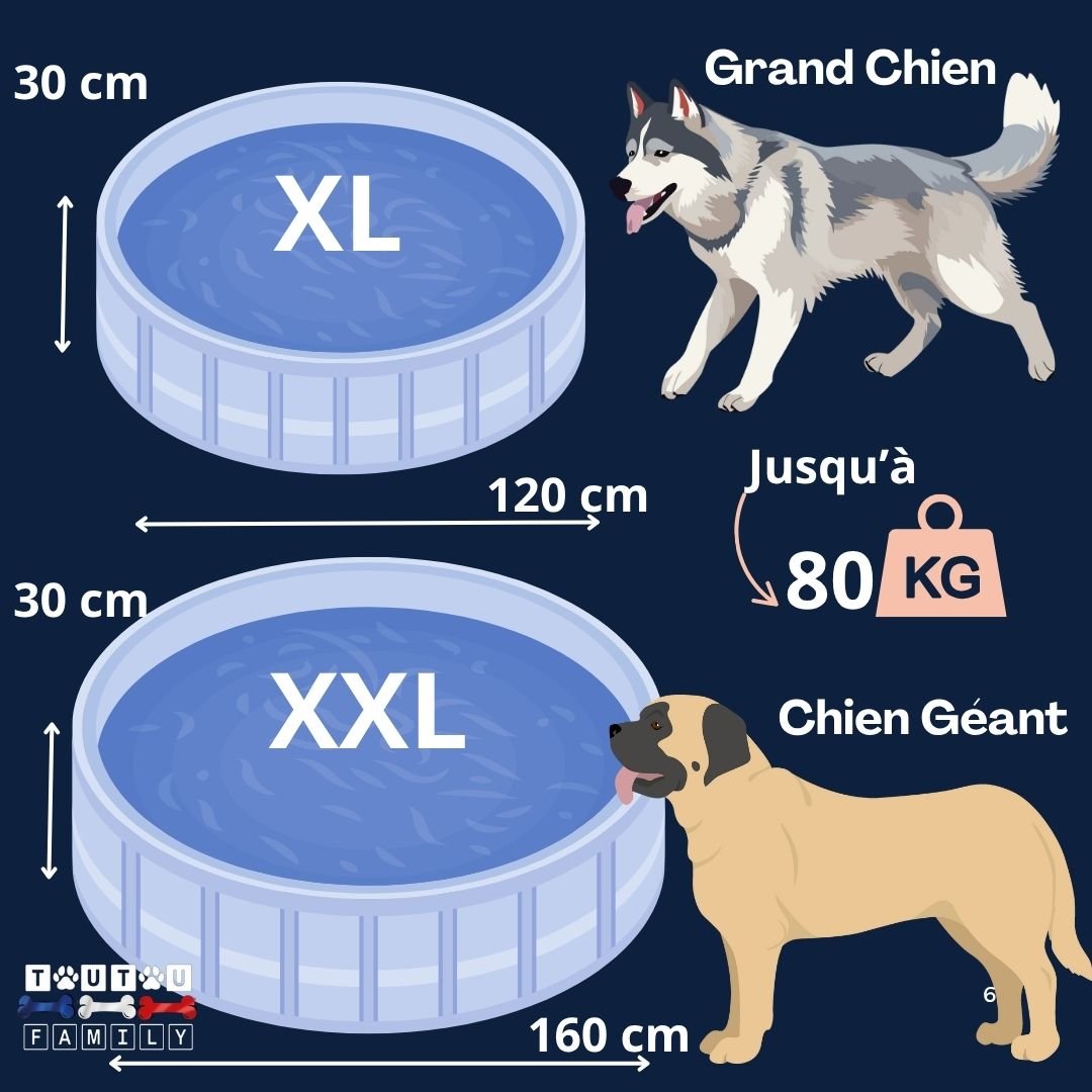 Piscine-pour-chien-xxl-jet-d-eau-guide-des-tailles XL et XXL pour chien jusqu'à 80 kg