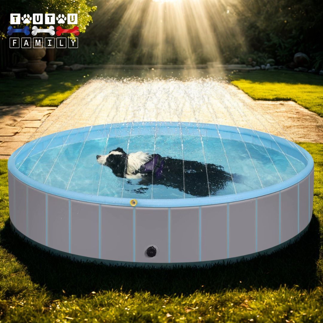 Piscine-pour-chien-xxl-rigide-avec-jet-d-eau un chien qui se rafraichit dans sa grande piscine bleue en PVC rigide et solide et ses panneaux MDF dans le jardin