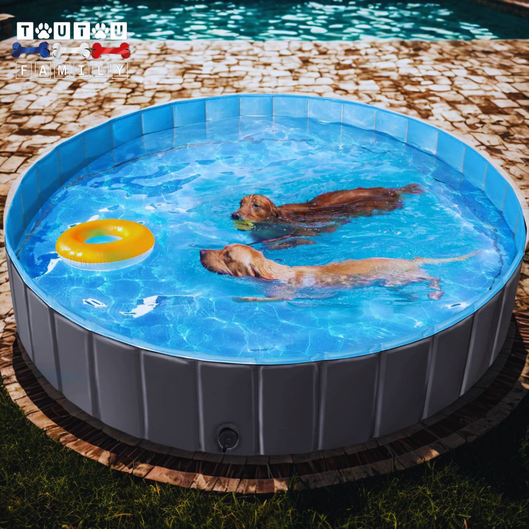 Piscine-pour-chiens-grande-piscine-XXL-pliable-pour-grand-chien-160 cm