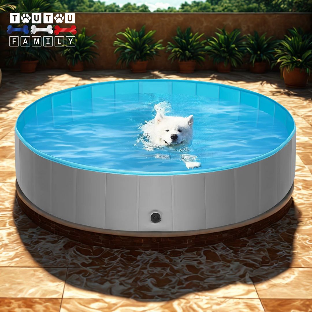 Piscine-pour-chiens-solide-un-chien-qui-barbote-dans-la-grand-piscine-xxl-sur-la-terrasse-de-la-maison-en-été