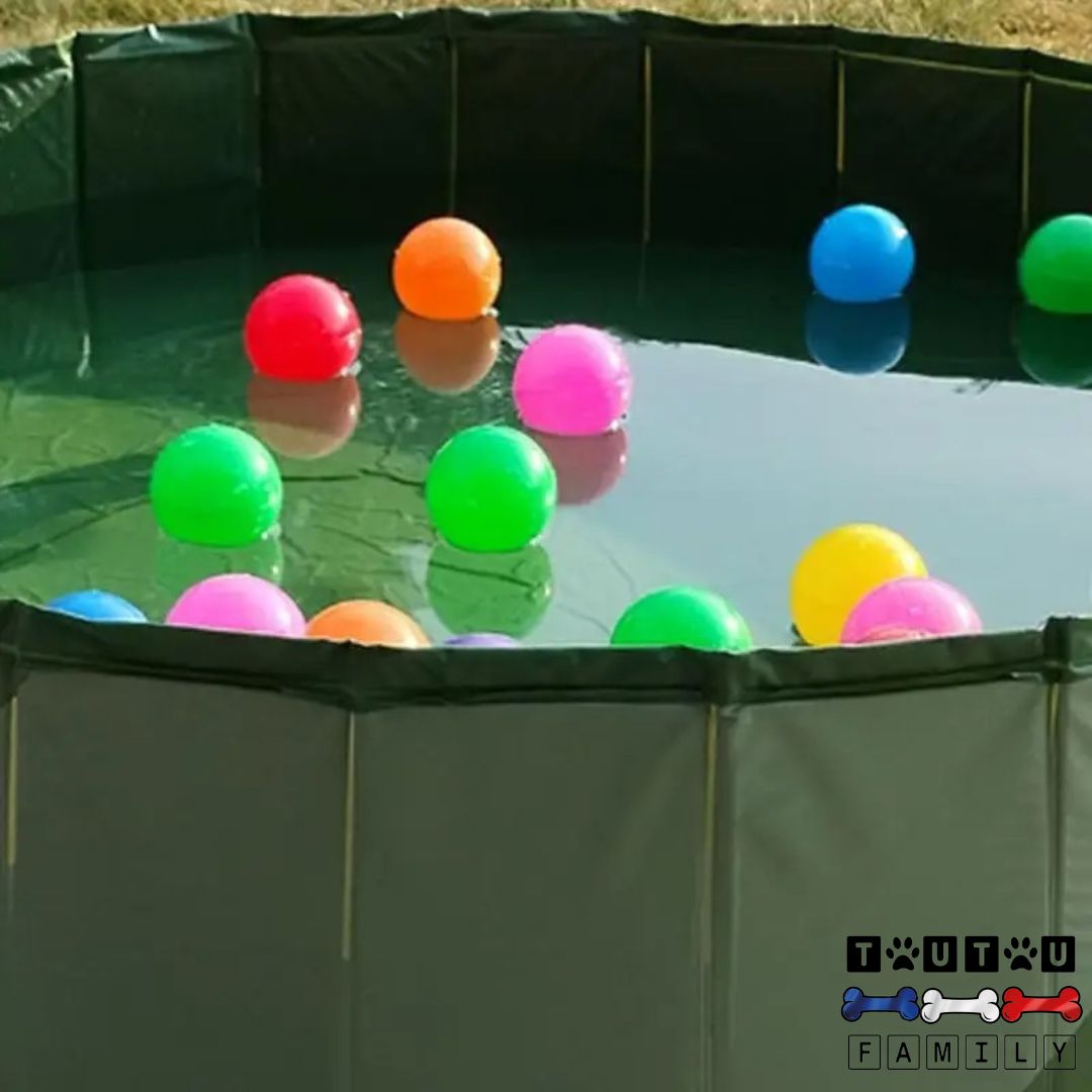 Piscine-rigide-pour-chien-pliable-en PVC écologique remplit d'eau dans le jardin pour des jeux extérieurs pour chien de petite à grande taille pour l'été