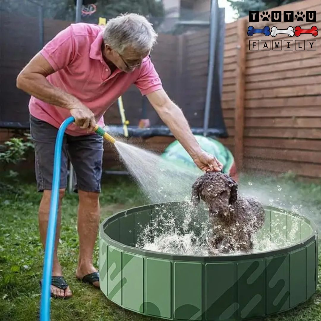 Piscine-rigide-pour-chien-pliable-transportable un maitre qui fait le bain de son petit chien dans la piscine qui savonne et le rince avec le tuyau d'arrosage dans son jardin
