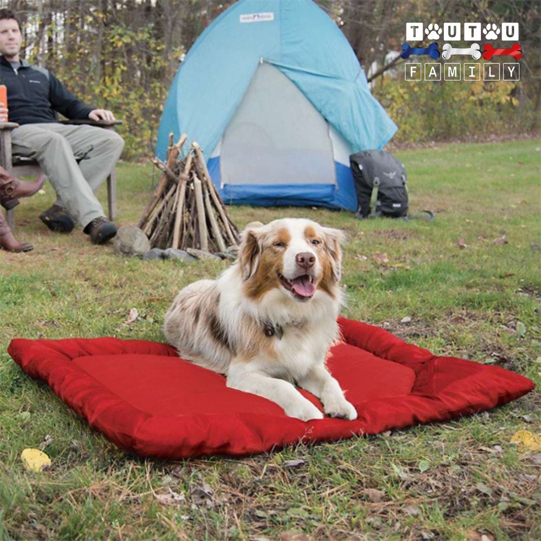 Tapis-imperméable-pour-chien-pliable avec sangle de rangement et poignée de transport, léger, lavable, rembourrage en coton avec rebord, un grand chien couché confortablement et à l'abri de l'humidité dans la foret avec son maitre qui campe