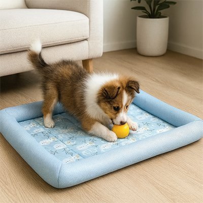 Tapis-pour-Chien-rafraichissant-ergonomique-avec rebord surélevé et protecteur-antidérapant et lavable en machine-un chiot qui joue avec sa balle sur le tapis rafraichissant respirant rembourré 100% coton et imperméable sur le sol du salon en plein été