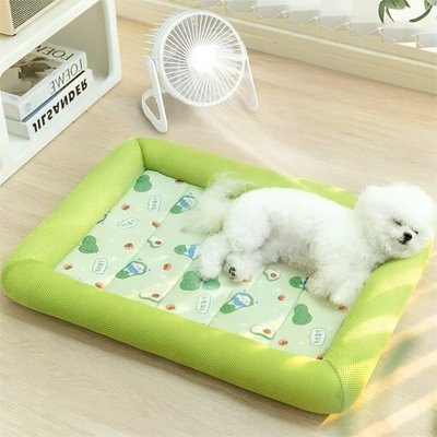 Tapis-pour-Chien-rafraichissant-ergonomique-avec rebord surĂ©levĂ© et protecteur-antidĂ©rapant et lavable en machine-un bichon frisĂ© qui dort paisiblement sur le tapis rafraichissant avec sa tĂȘte dĂ©posĂ©e sur le rebord respirant, rembourrĂ© 100% coton et impermĂ©able sur le sol du salon en plein Ă©tĂ©