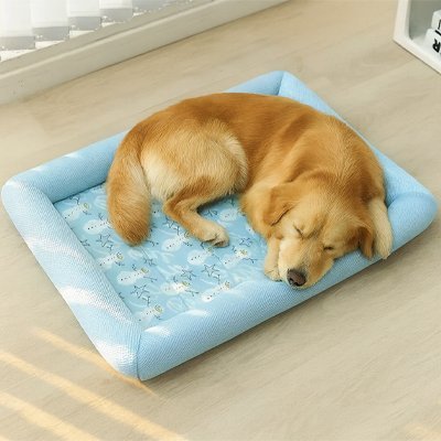 Tapis-pour-Chien-rafraichissant-ergonomique-avec rebord surélevé et protecteur-antidérapant et lavable en machine-un chien moyen qui dort paisiblement en boule sur son tapis rafraichissant respirant rembourré 100% coton et imperméable sur le sol du salon en plein été
