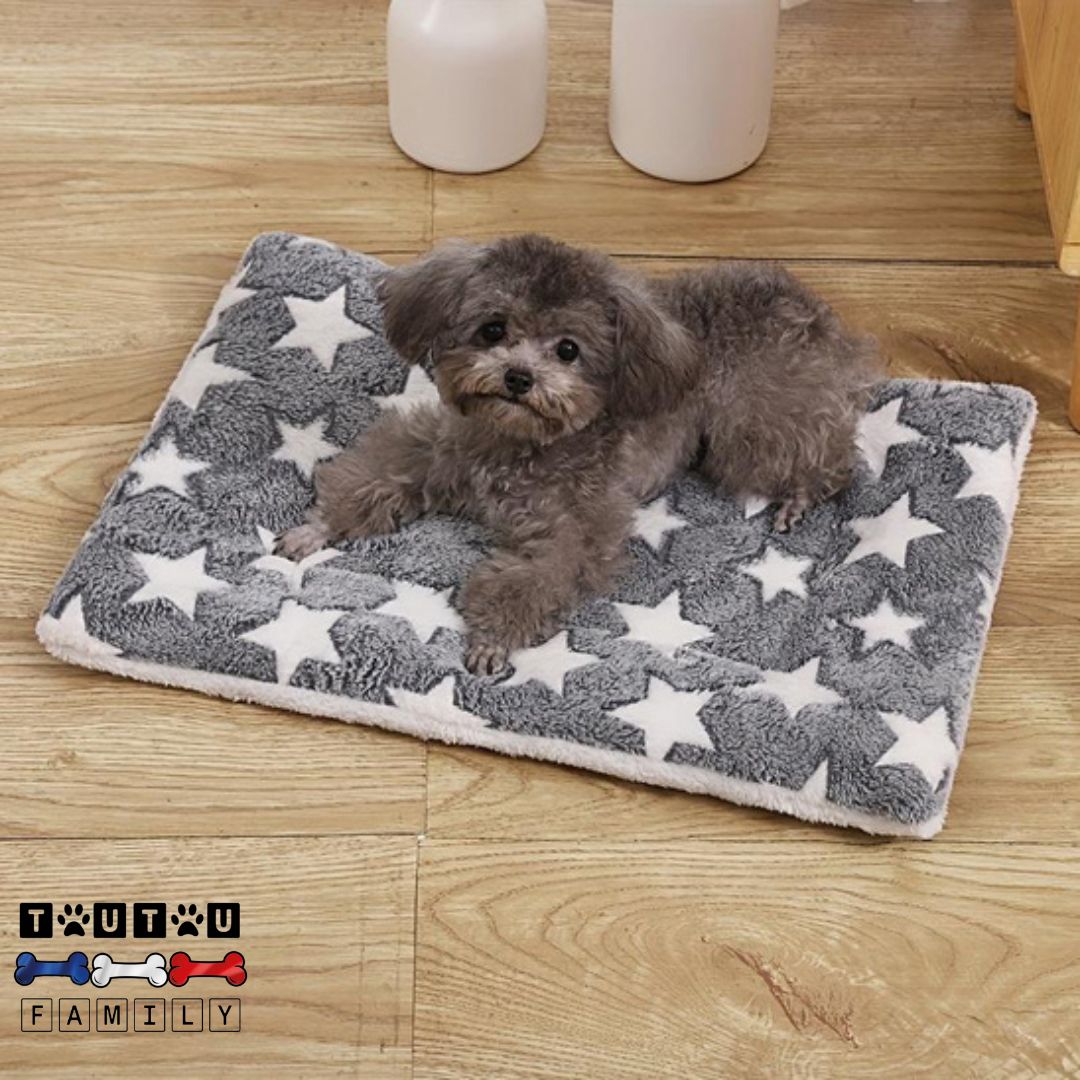 Tapis-pour-chien-couchage-antidérapant moelleux coton et laine lavable en machine à laver, un caniche couché sur le ventre confortablement sur son tapis dans le salon