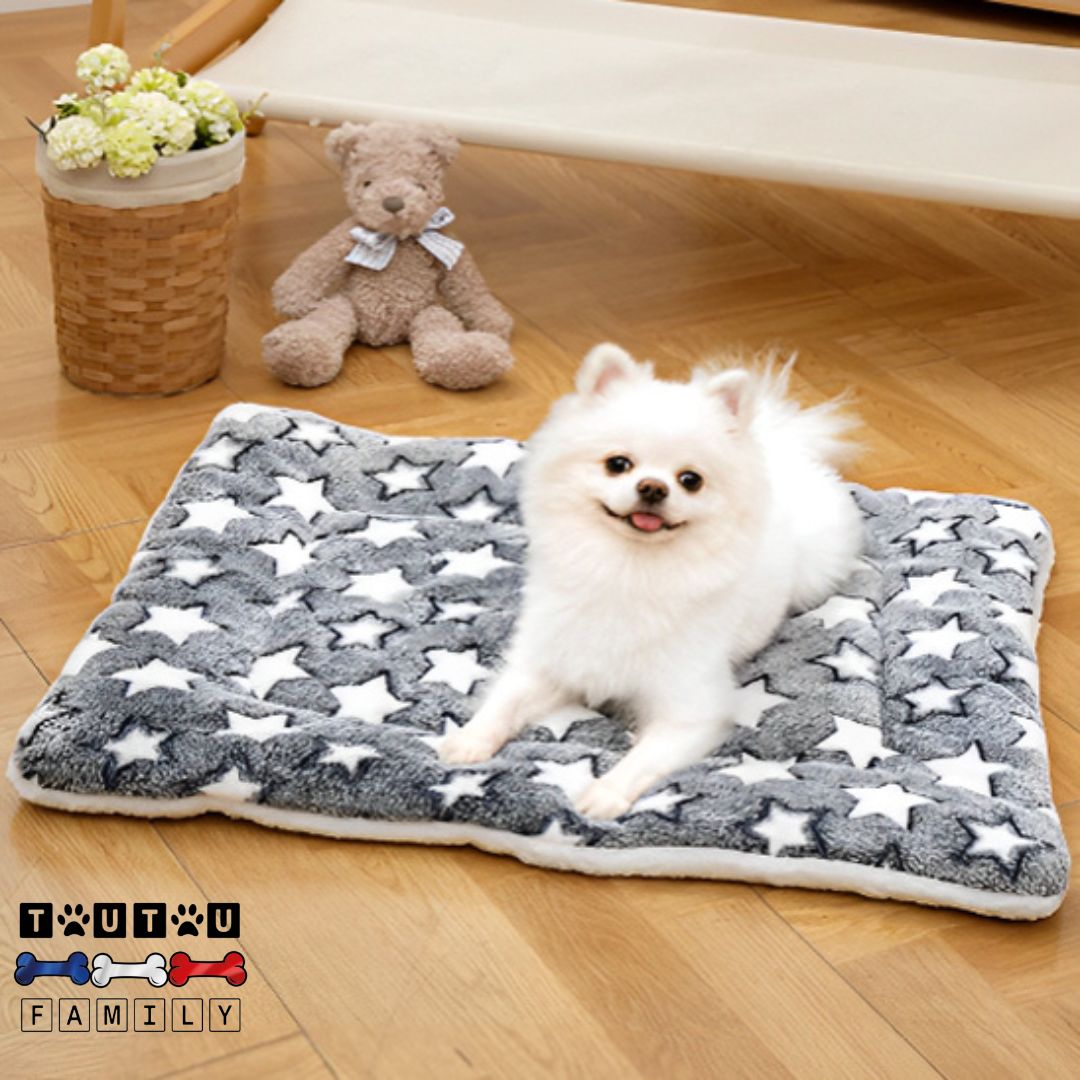 Tapis-pour-chien-couchage-coton-laine, un chien couché sur son tapis gris avec motif étoile antidérapant et lavable en machine polyvalent pour panier, voiture couverture cisse de transport