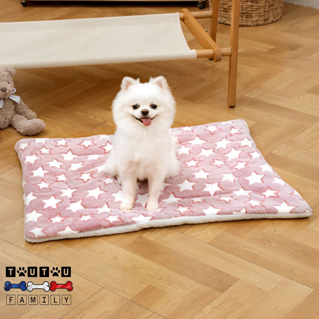 Tapis-pour-chien-couchage-polyvalent un chien assis sur son grand tapis confortable, chaud, épais en coton et laine, lavable en machine