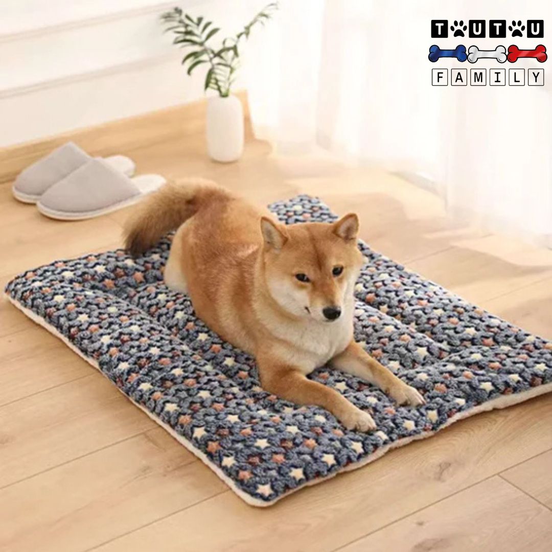 Tapis-pour-chien-couchage-réversible un grand chien couché sur son tapis xxl épais et chaud, lavable en machine en coton et laine résistant aux morsures et griffes des chien