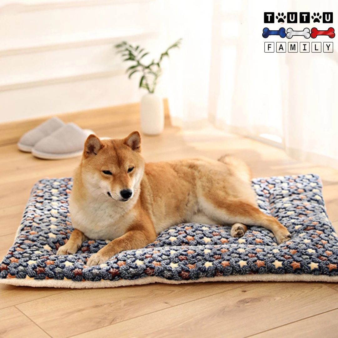 Tapis-pour-chien-couchage un grand chien couché sur le tapis épais moelleux lavable en machine polyvalent pour transport, voiture, panier