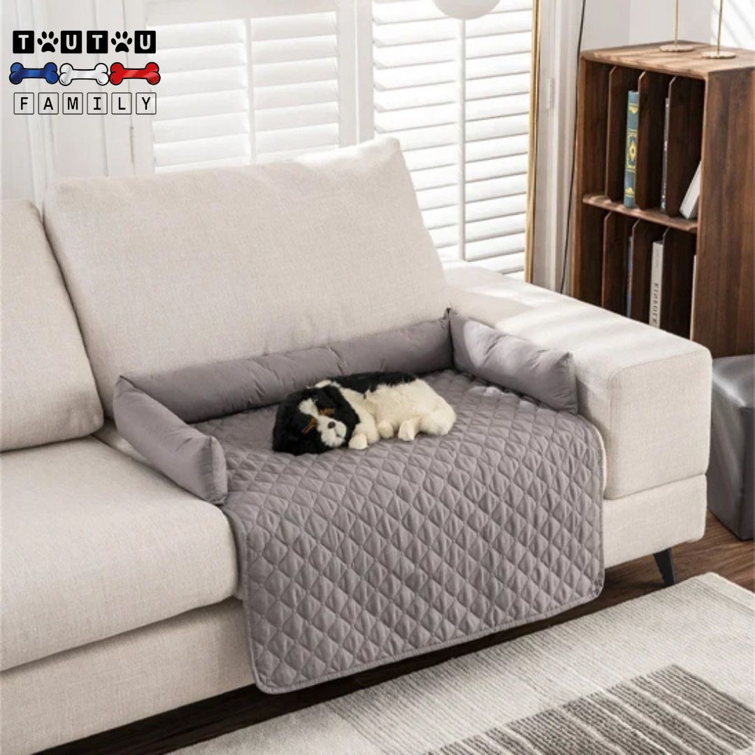 Tapis-pour-chien-protège-canapé-coussin 100% coton, un chien couché en boule sur le tapis 100% imperméable posé sur le canapé du salon