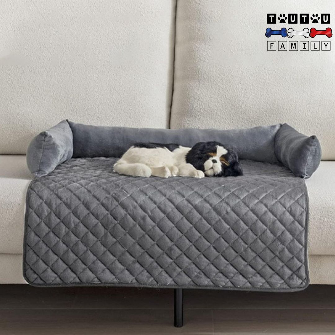 Tapis-pour-chien-protège-canapé avec traversin entourant et sécurisant 100% coton résistant solide, un cavalier king Charles confortablement couché sur son tapis qui dort sur le canapé du salon