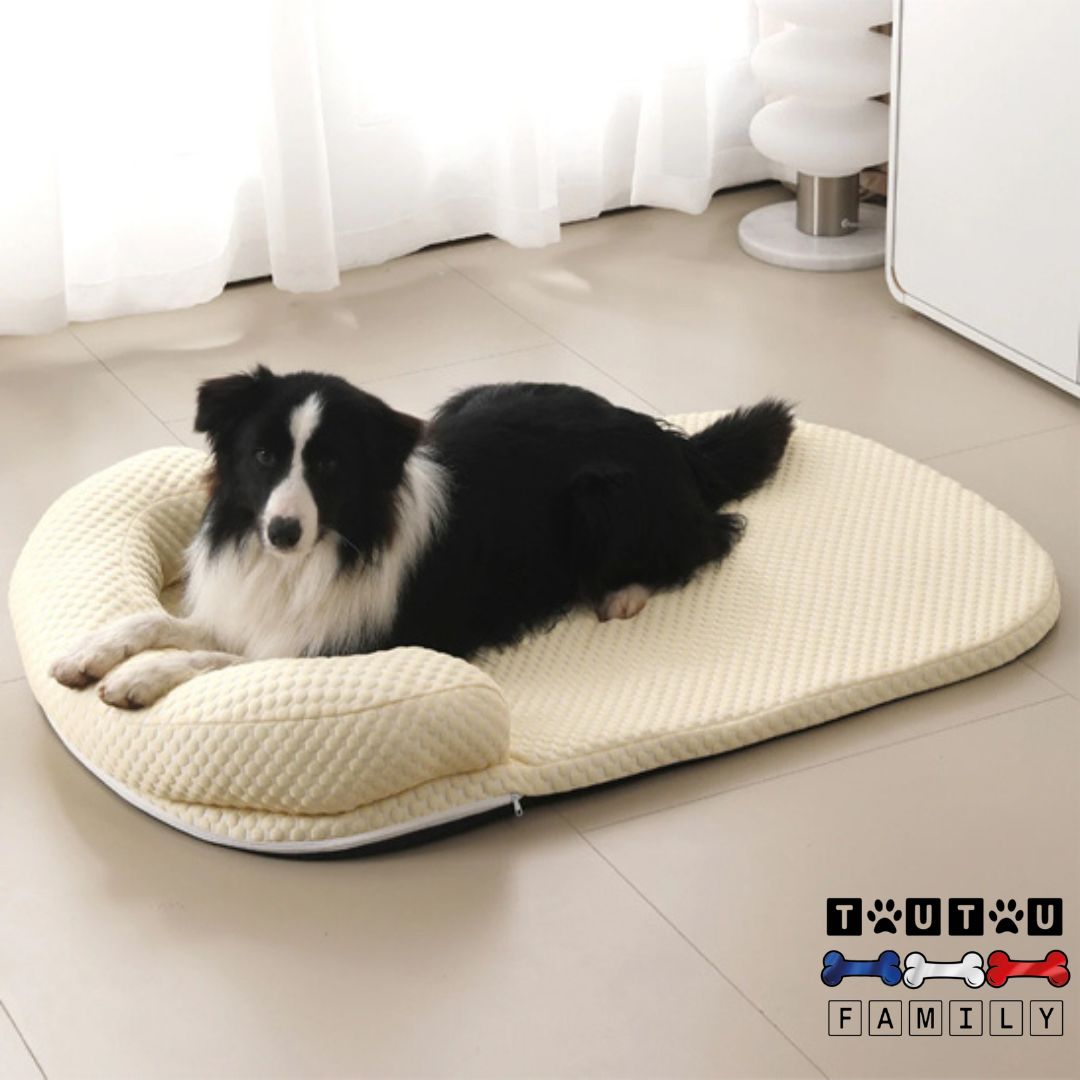 Tapis-pour-chien-rafraichissant-déhoussable-lavable-en-machine-avec-coussin-et-matelas-orthopédique-un-Border-collie-couché-confortablement-sur-son-lit-rafraichissant-dans-son-salon-en-été
