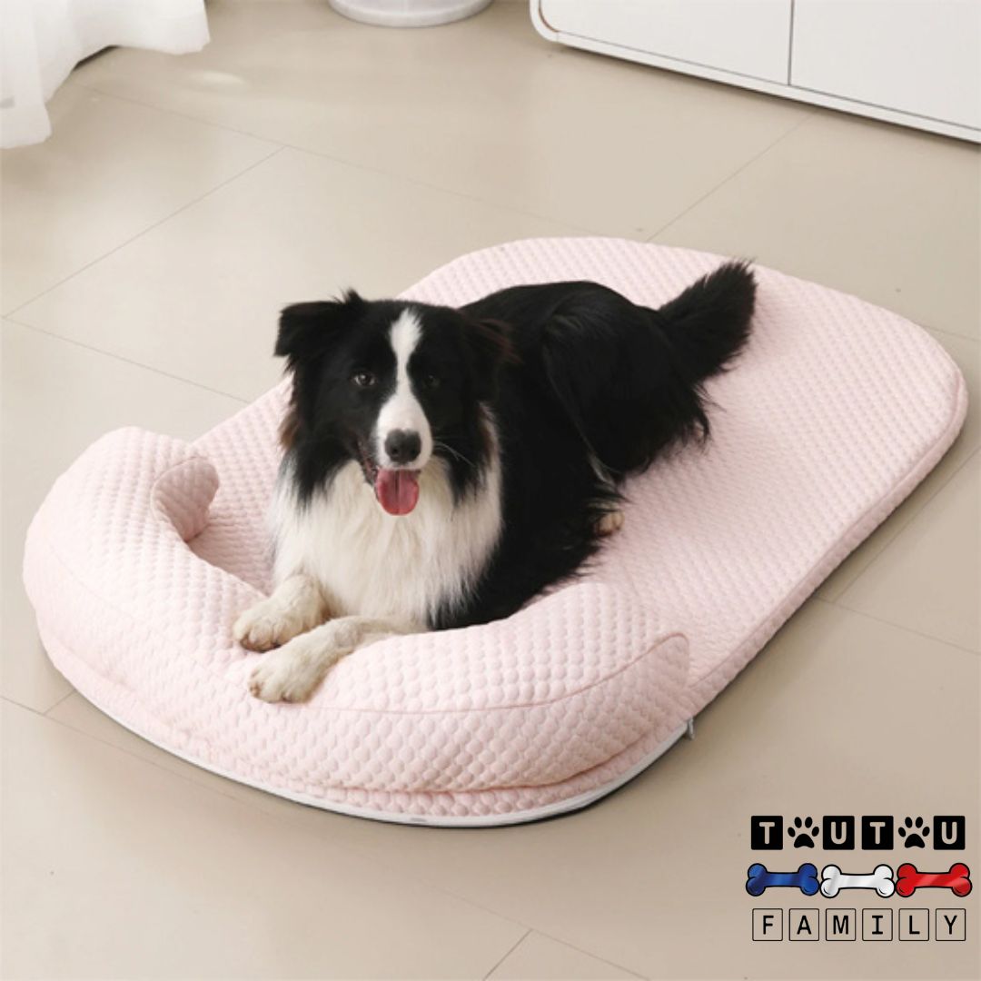 Tapis-pour-chien-rafraichissant-lavable-avec-coussin-repose-tête-ergonomique-un-rand-chien-couché-sur-le-ventre-sur-son-matelas-rafraichissant--les-pattes-posés-sur-l-oreiller-intégré-du-lit-rafraichissant-rose