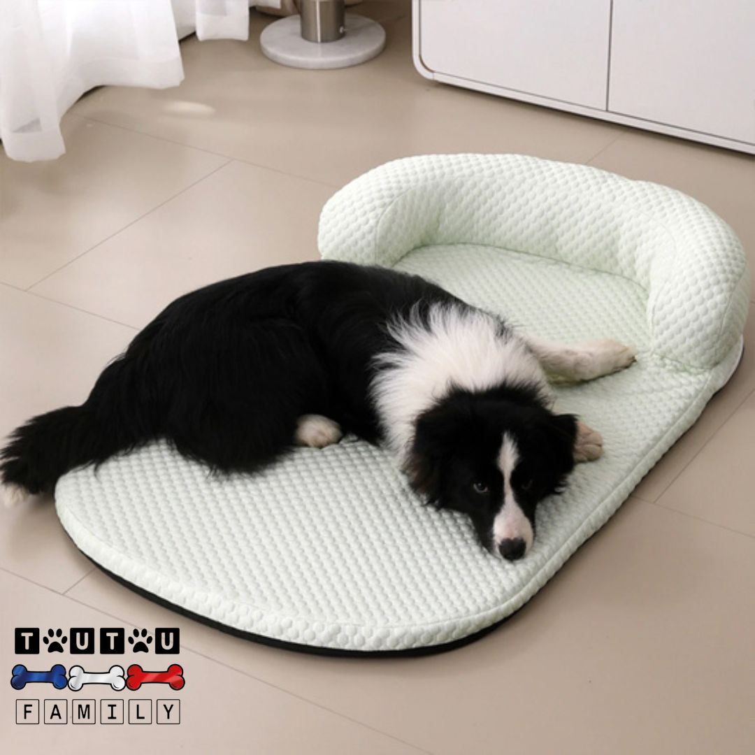Tapis-pour-chien-rafraichissant-lit-orthopédique-avec-oreiller-ergonomique-un-chien-couché-en-boule-sur-le-ventre-qui-se-rafraichit-sur-son-matelas-rafraichissant-la-tête-posée-sur-le-tapis-rafraichissant-de-couleur-bleu