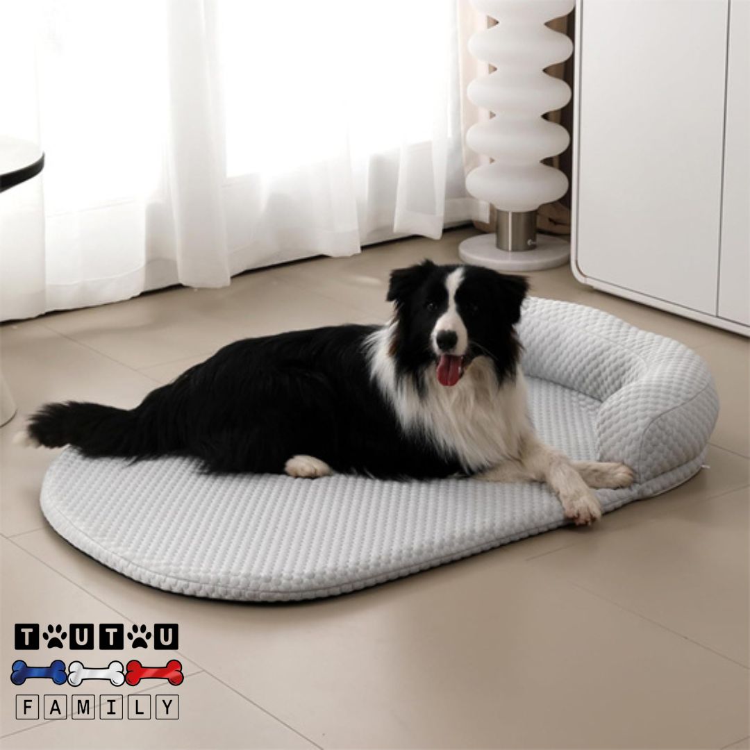 Tapis-pour-chien-rafraichissant-orthopédique-matelas-à-mémoire-de-forme-qui-soutien-les-articulations-un-border-collie-couché-les-pattes-croisées-sur-son-lit-rafraichissant-avec-traversin-déhoussable-et-lavable-en-machine
