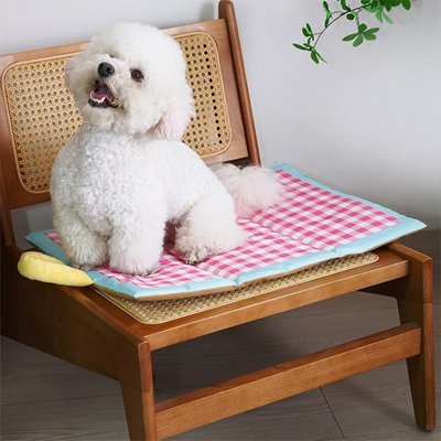 Tapis-rafraîchissant-chien-chiot-sans réfrigérateur-sans eau-sans électricité -sans gel toxique-un bichon au frais couché sur son tapis rose à carreaux vichy sur la chaise du salon