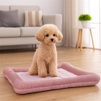 Tapis-rafraichissant-chien-coussin-lavable en machine-avec rebord surélevé-épais-coton-pvc-sans besoin de frigo-utilisation immédiate-un caniche assis confortablement sur son tapis qui le rafraßchit pendant les mois chaud