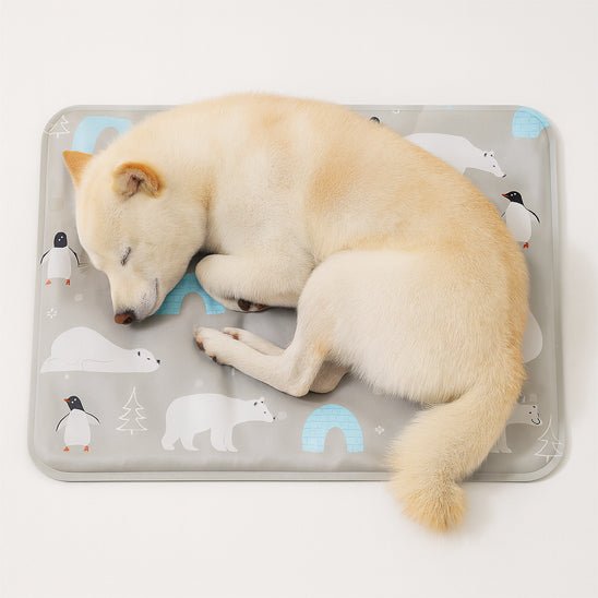 Tapis-rafraichissant-chien-chiot-gel-impermĂ©able-lavable-polyvalent-pour-sol-lit-panier-cage-caisse-de-transport-voiture-voyage-rĂ©utilisable-rĂ©sistant-au-griffes-compatible avec rĂ©frigĂ©rateur ou frigo-sans produits toxique-confort thermique pour le bien-ĂȘtre et la santĂ© des chiens-un chiot couchĂ© en boule qui dort paisiblement malgrĂ© les tempĂ©ratures chaudes sur son tapis rafraichissant au design mignon polaire de couleur gris sur le sol du salon