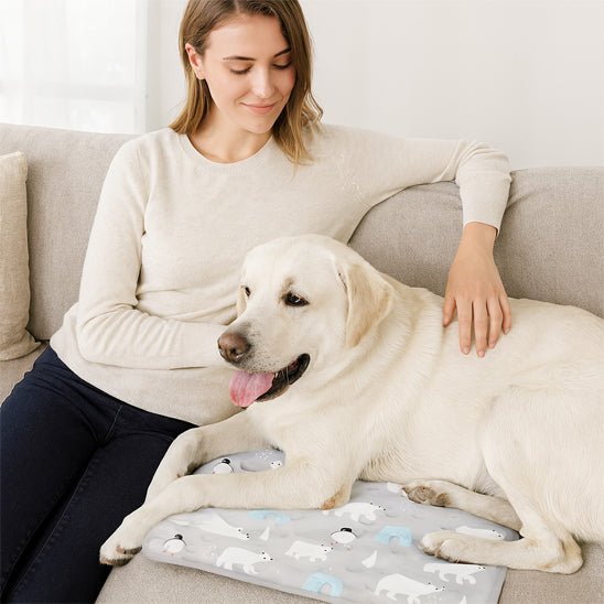 Tapis-rafraichissant-chien-chiot-gel-impermĂ©able-lavable-polyvalent-pour-sol-lit-panier-cage-caisse-de-transport-voiture-voyage-rĂ©utilisable-rĂ©sistant-au-griffes-compatible avec rĂ©frigĂ©rateur ou frigo-sans produits toxique-Confort thermique pour le bien-ĂȘtre et la santĂ© des chiens-un labrador couchĂ© et dĂ©tendu malgrĂ© les tempĂ©ratures chaudes sur le canapĂ© du salon Ă  cĂŽtĂ© de sa maitresse heureuse qui le caresse en Ă©tĂ©
