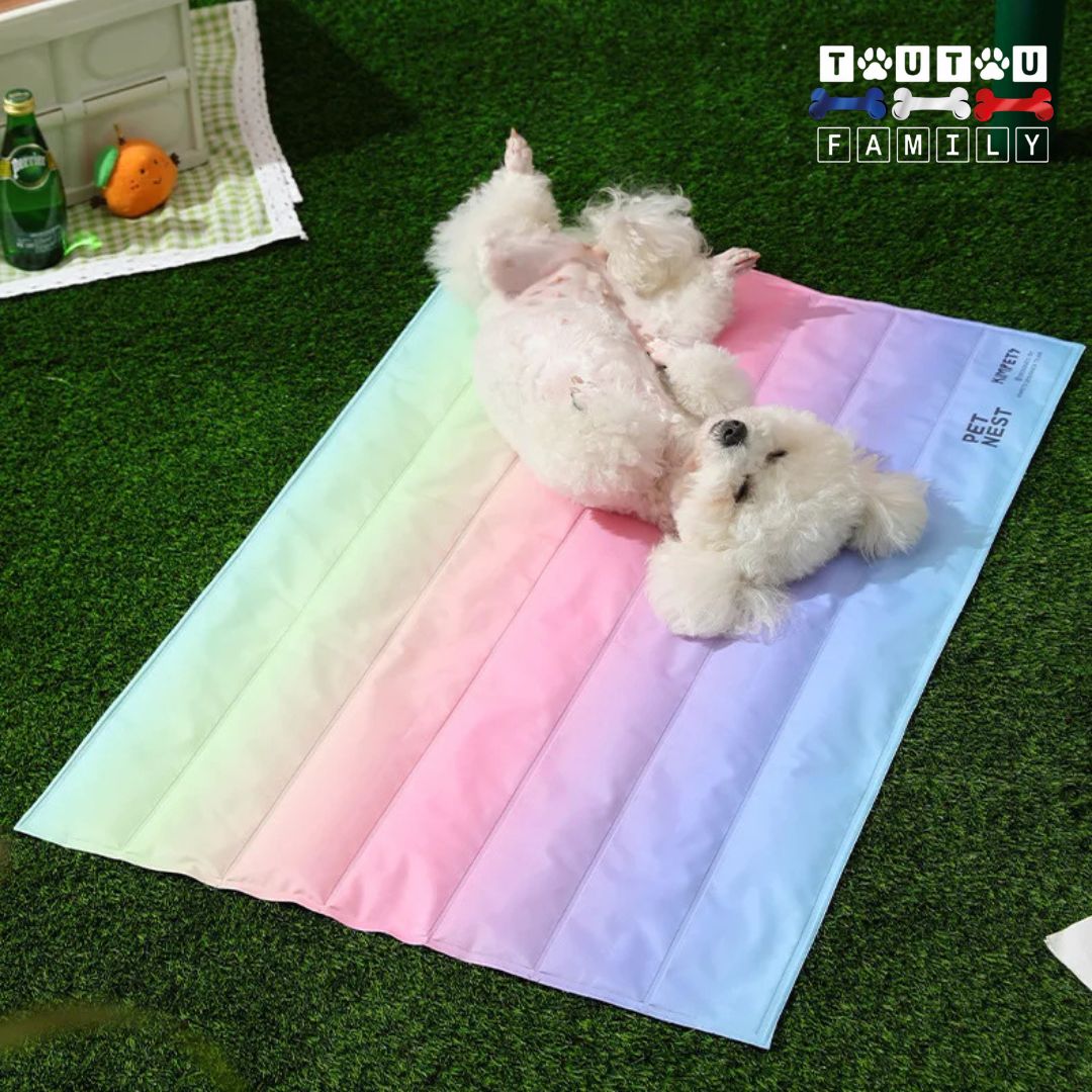 Tapis-rafraichissant-chien-gel-froid un chien blanc à poils frisé confortablement couché sur le dos dehors en plein été sur son tapis qui le rafraichit et lui permet de supporter la température de maniÚre confortable