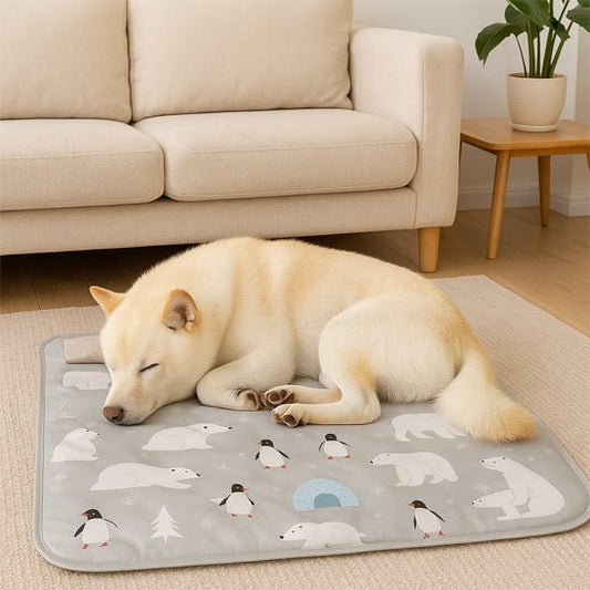 Tapis-rafraichissant-chien-chiot-gel-imperméable-lavable-polyvalent-pour-sol-lit-panier-cage-caisse-de-transport-voiture-voyage-réutilisable-résistant-au-griffes-compatible avec réfrigérateur ou frigo-sans produits toxique-confort thermique pour le bien-être et la santé des chiens-un chien de taille moyenne à poils épais couché et détendu qui dort paisiblement malgré les températures chaudes sur son tapis rafraichissant au design mignon polaire de couleur gris dans le parc sur le sol du salon