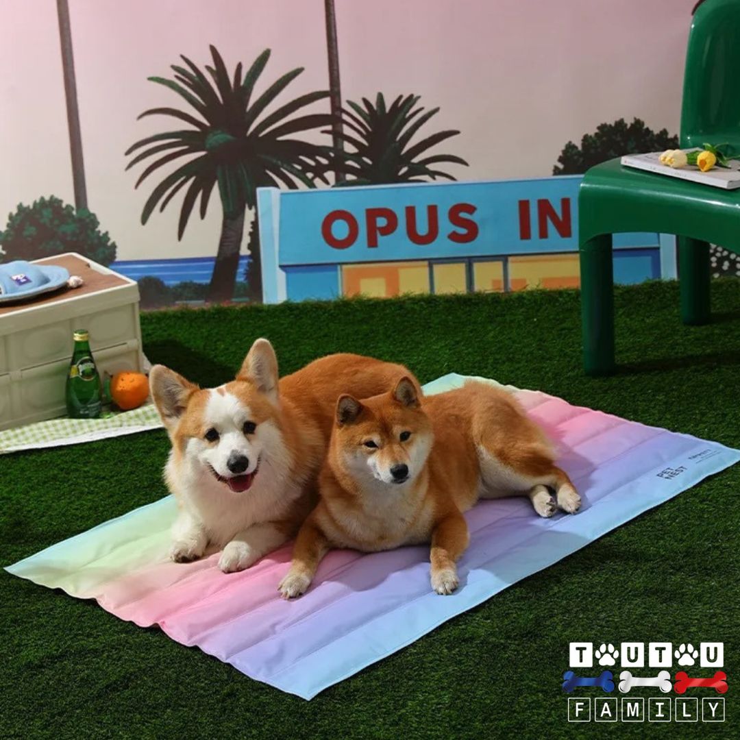 Tapis-rafraichissant-chien-gel-transportable pliable et 100% imperméable sans produits toxique sans danger pour les chiens de petites à grande taille