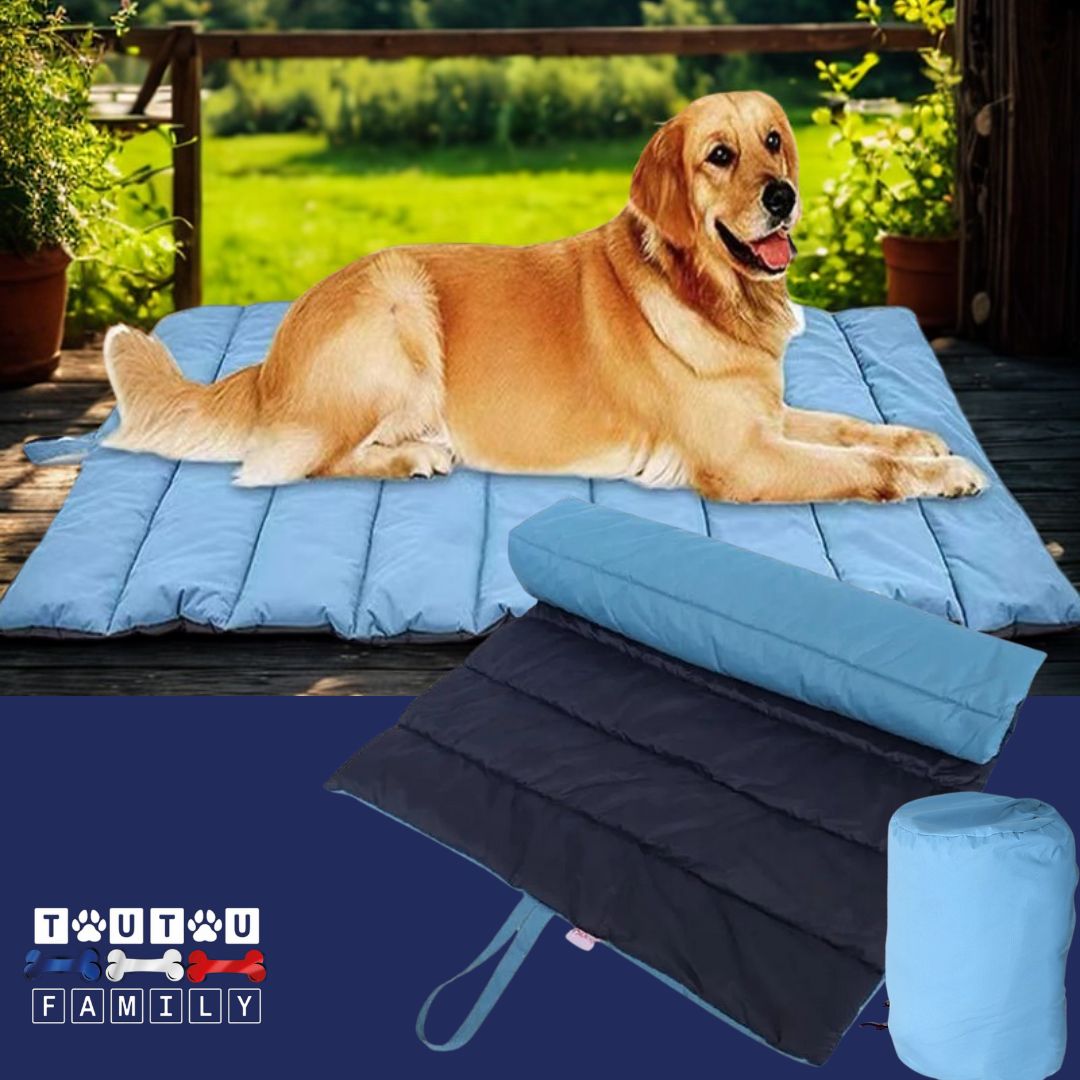 Tapis-xxl-pour-chien-bleu un grand chien couché confortablement sur son tapis 100% imperméable au rembourrage 100% coton sur la terrasse en bois de sa maison