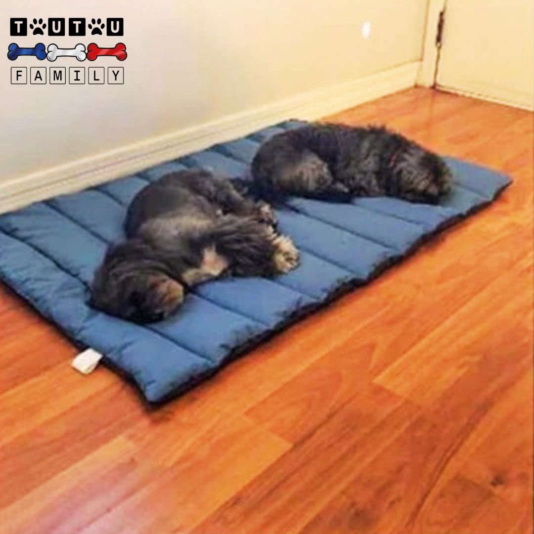Tapis-xxl-pour-chien-couchage de voyage couverture 100 imperméable au rembourrage 100% coton PP pliable léger compact avec sa poignée de transport et son sac inclus