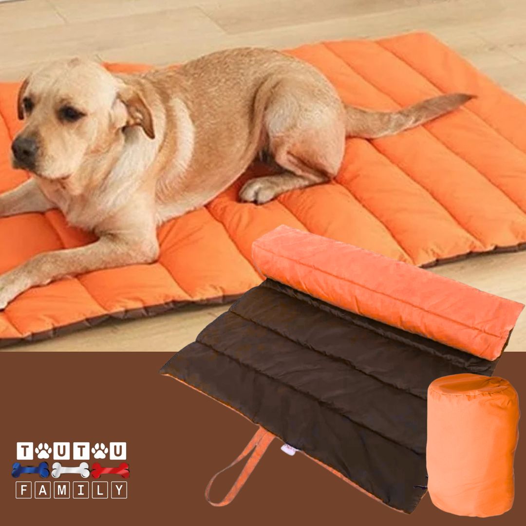 Tapis-xxl-pour-chien-orange un chien de grande taille couché confortablement sur son tapis 100% imperméable lavable rembourrage 100% coton sur le sol du salon