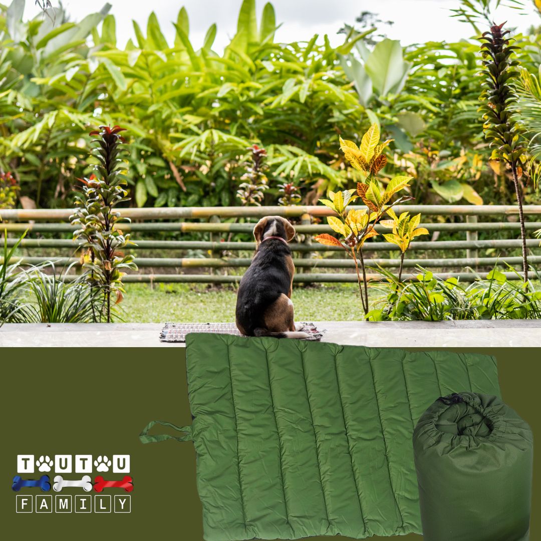 Tapis-xxl-pour-chien-vert-foncé un chien de taille moyenne dans un jardin assis sur son tapis pliable et transportable léger et 100% imperméable pour l'extérieur