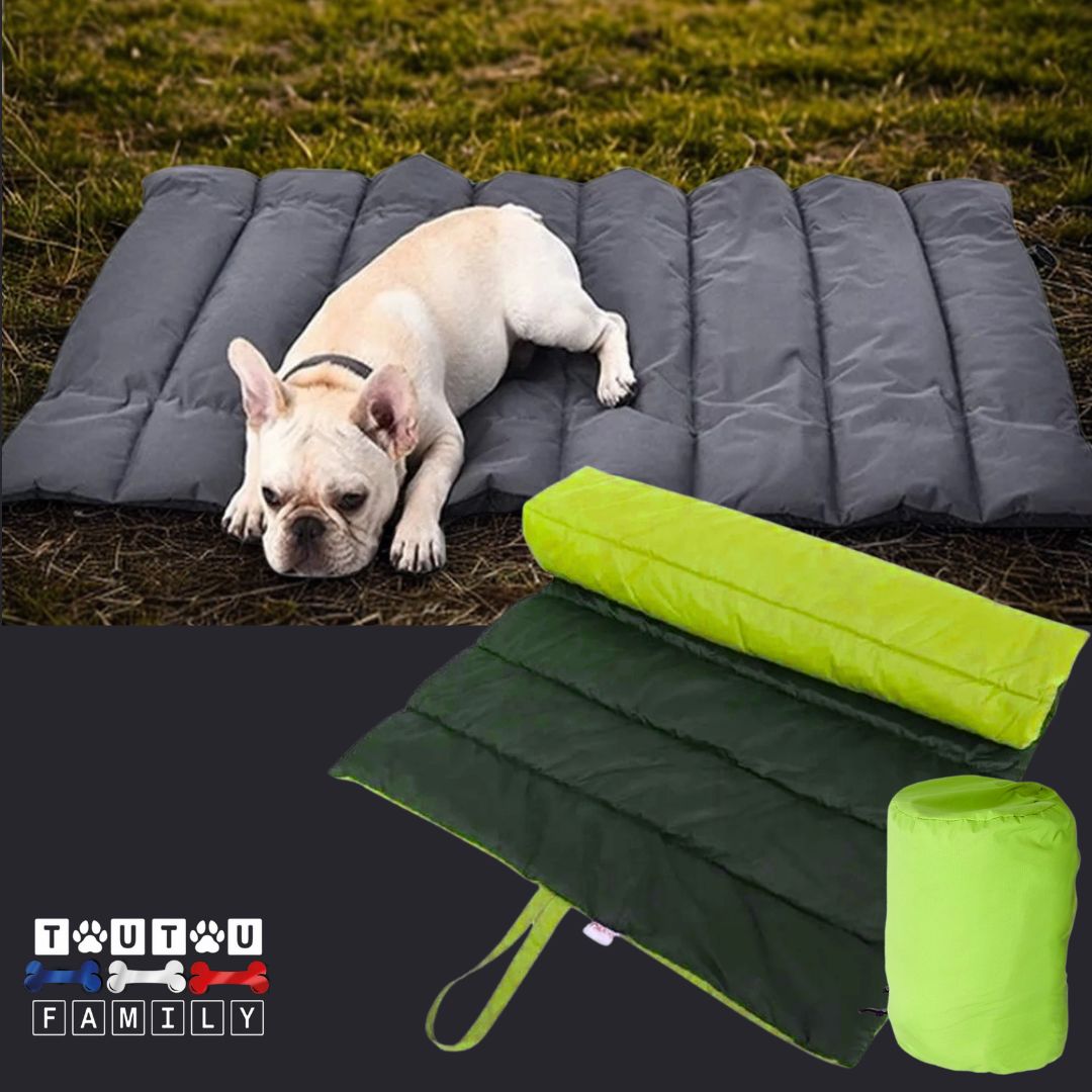Tapis-xxl-pour-chien-vert un chien couché sur son grand tapis réversible double-face 100% imperméable et résistant, confortable avec rembourrage 100% coton haute densité sur l'herbe du parc