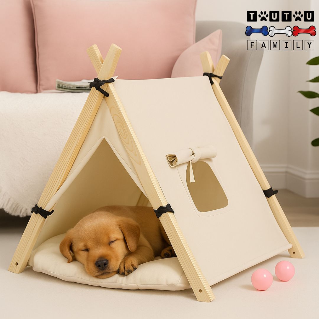 Tente-pour-chien-un chiot quidort paisiblement niché dans sa tente design en bois et 100% coton sur le coussin 100% coton amovible et lavable en machine-niche pliable-et-légère