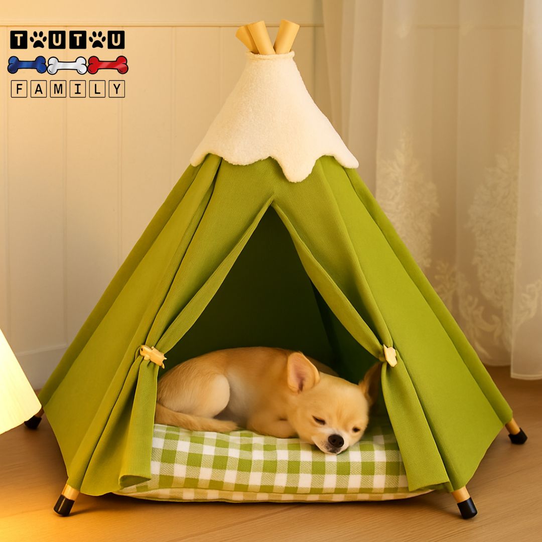 Tipi-pour-chien-chiot-design-un chiot qui dort en boule paisiblement dans son tipi avec son coussin avec housse Ă carreaux lavable en machine