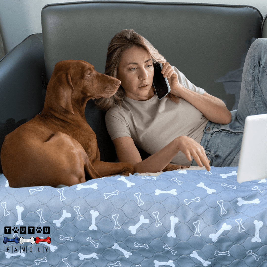 Alèse lavable chien - AlèseToutou™