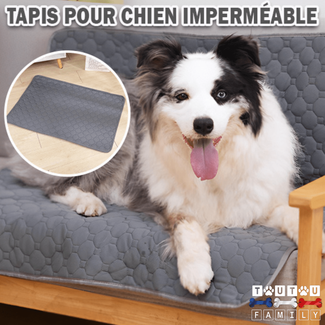 Alèse lavable chien - PropreToutou™