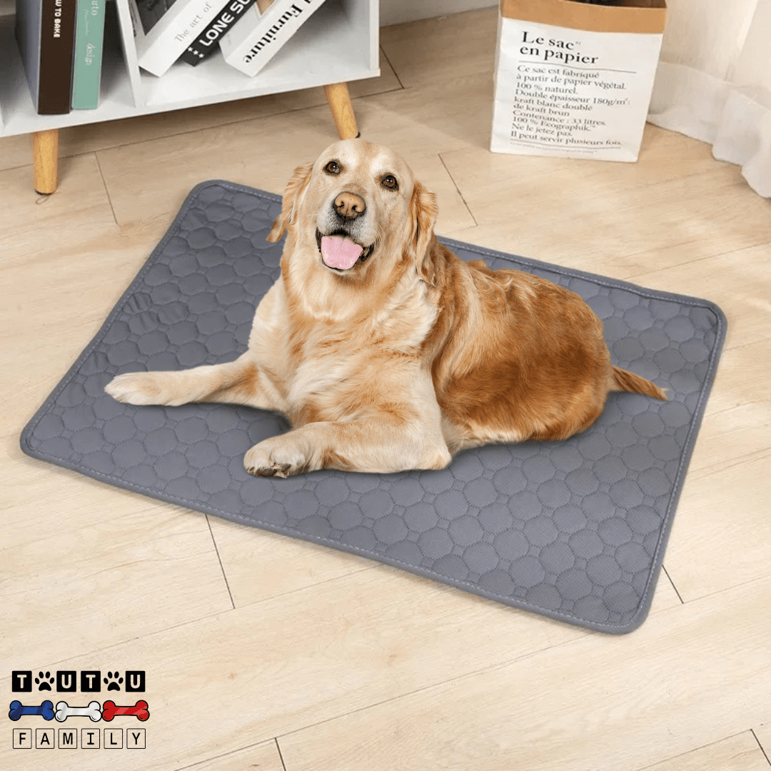 Alèse lavable chien - PropreToutou™