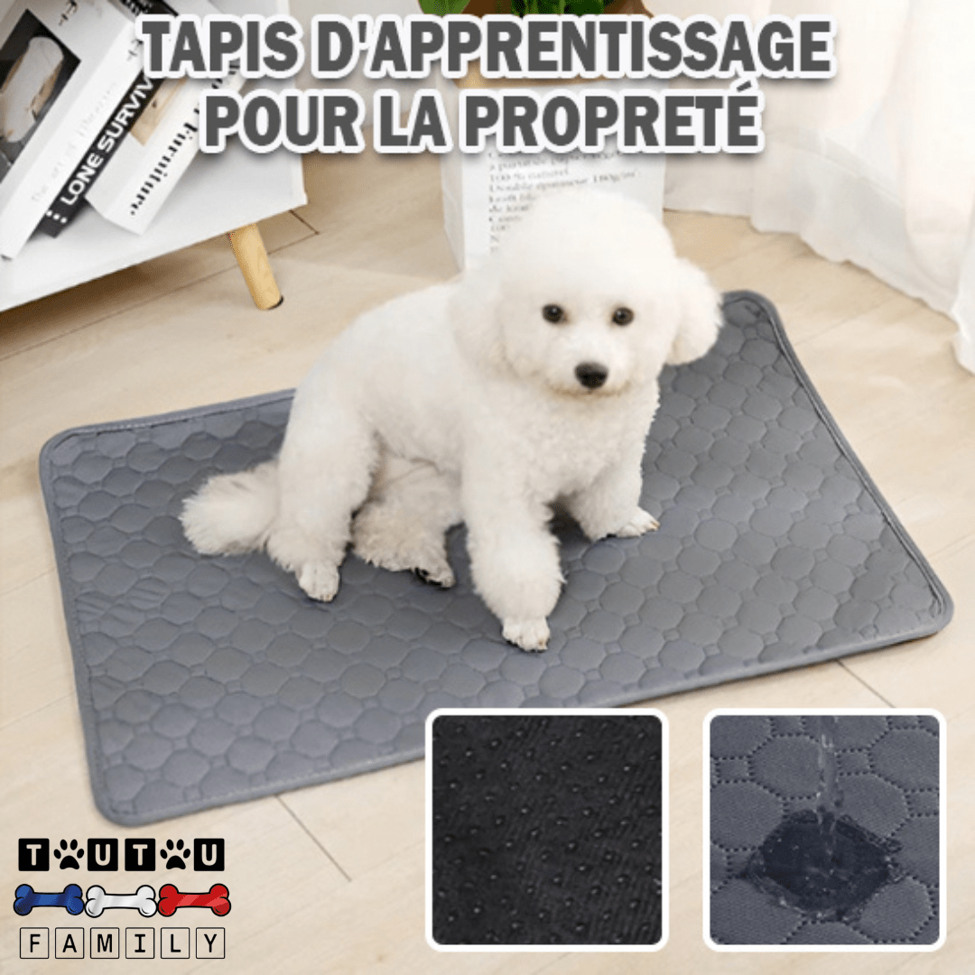 Alèse lavable chien - PropreToutou™