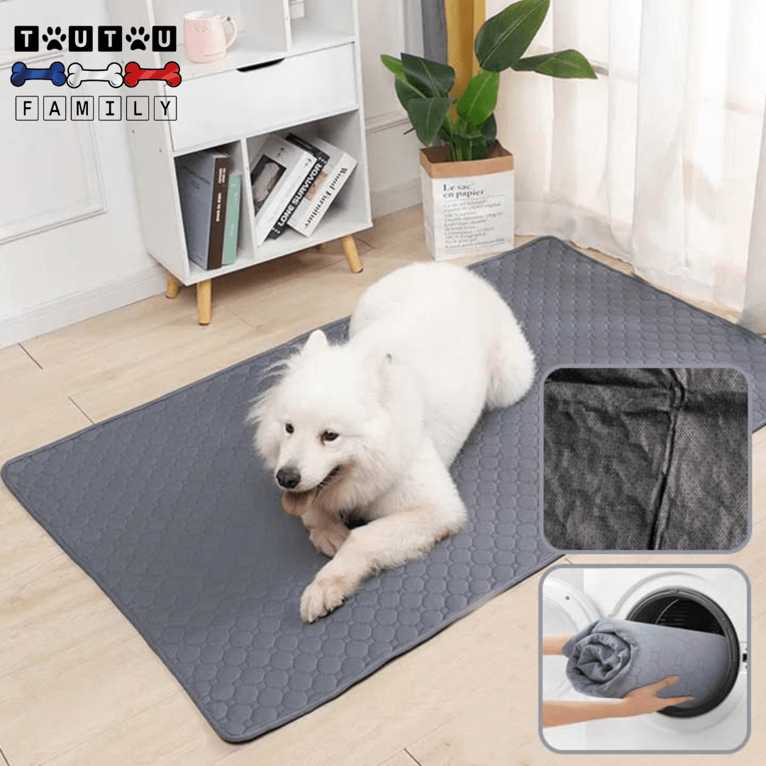 Alèse lavable chien - PropreToutou™