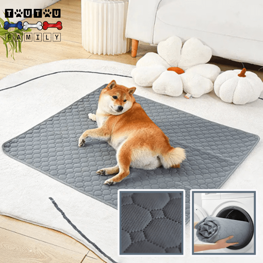 Alèse lavable chien - PropreToutou™