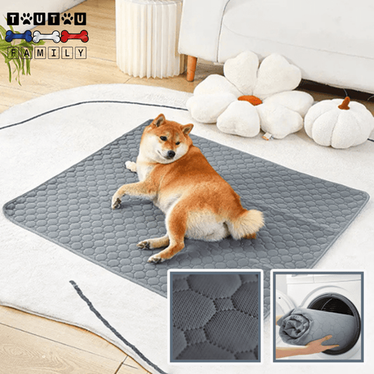 Alèse lavable chien - PropreToutou™