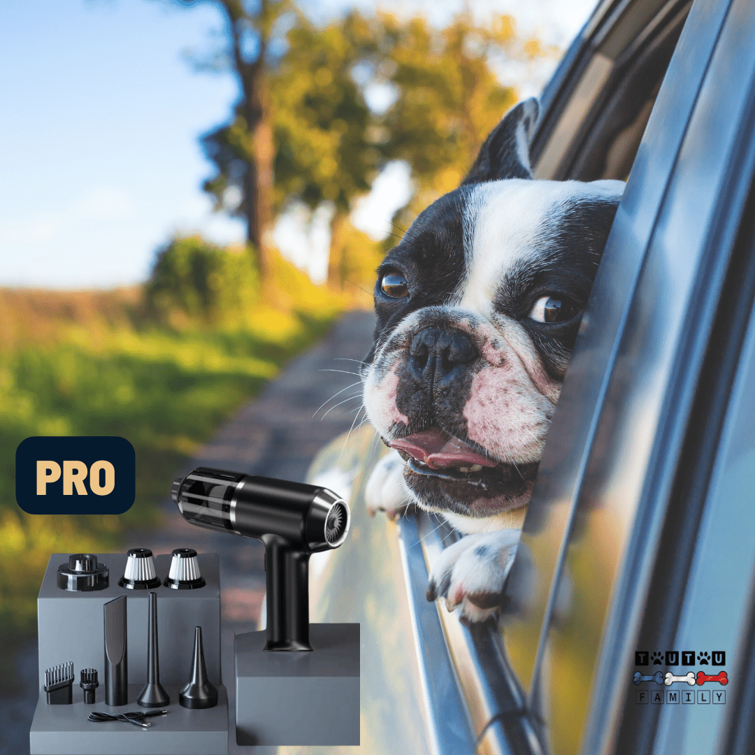 Aspirateur sans fil voiture - CycloneToutou™