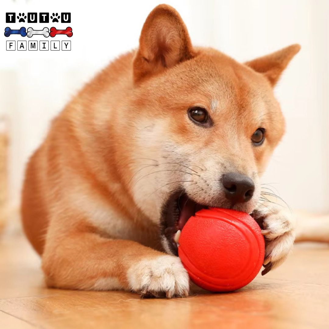 Balle-chien-solide-balle-de-tennis-rouge-chien-balle-indestructible-à-mâcher-pour-chien