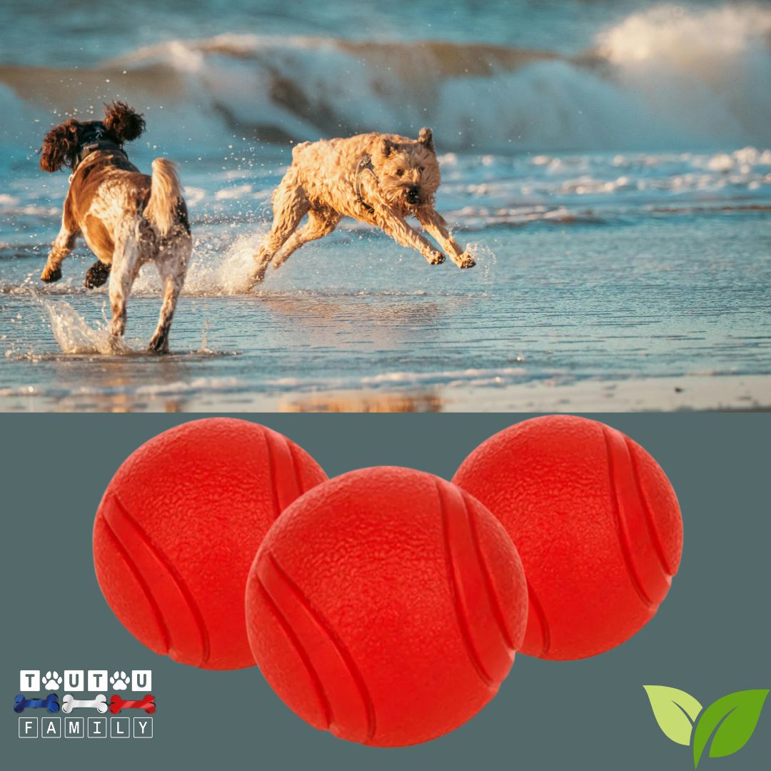 Balle-chien-solide-pour-grands-chiens-lot-de-3-balles-d-un-diamètre-de-7-cm