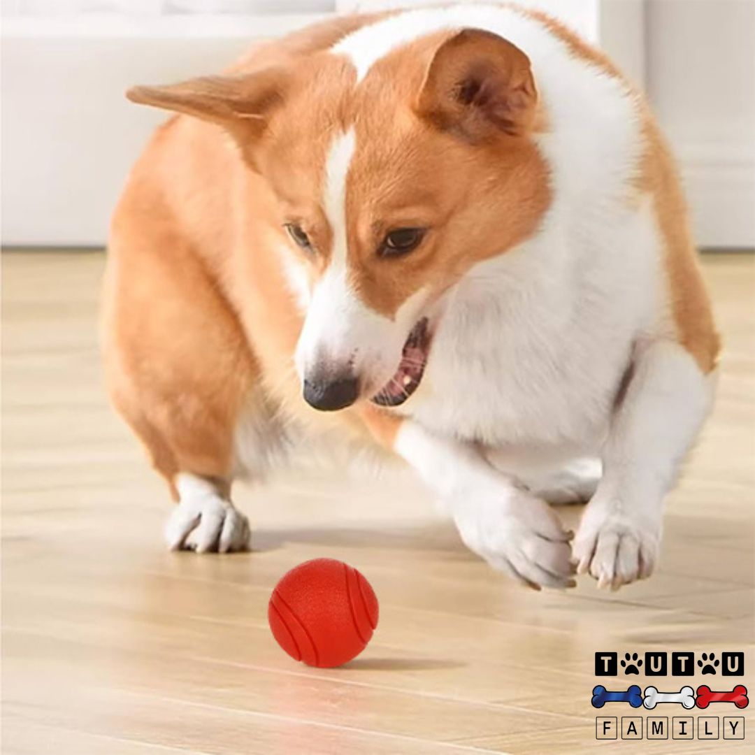 Balle-chien-solide-de-plusieurs-tailles-pour-chiens-de-petite-a-grande-taille-balle-lavable-rebondissante-et-sonore-pour-jeu-interactif-chien