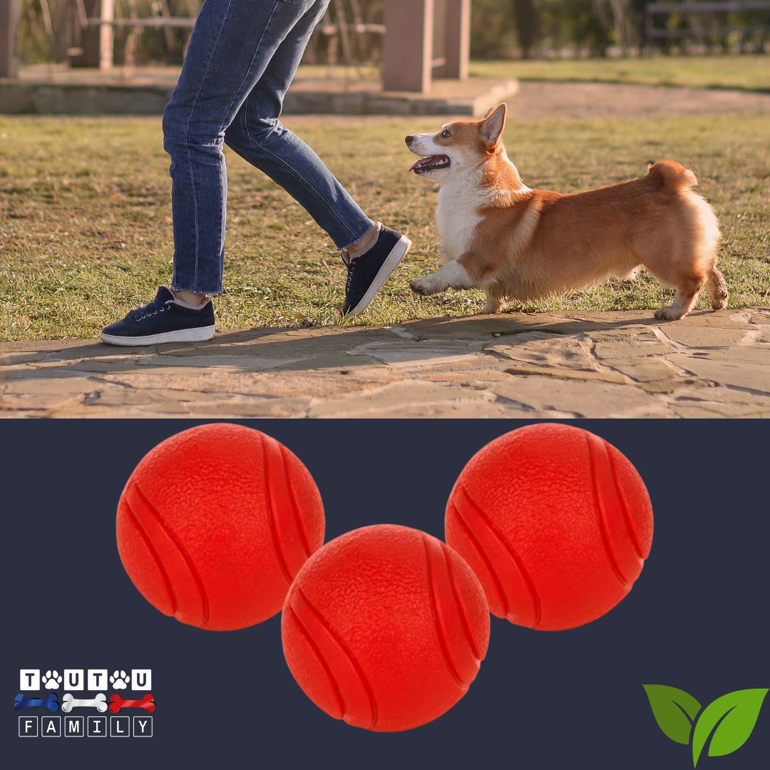 Balle-chien-solide-pour-chien-de-petites-tailles-lot-de--balles-d-un-diamètre-de-4,5-cm